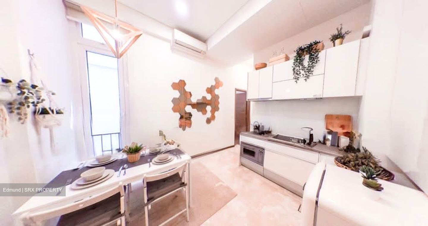 Ritz @ Farrer (D8), Apartment #568771651